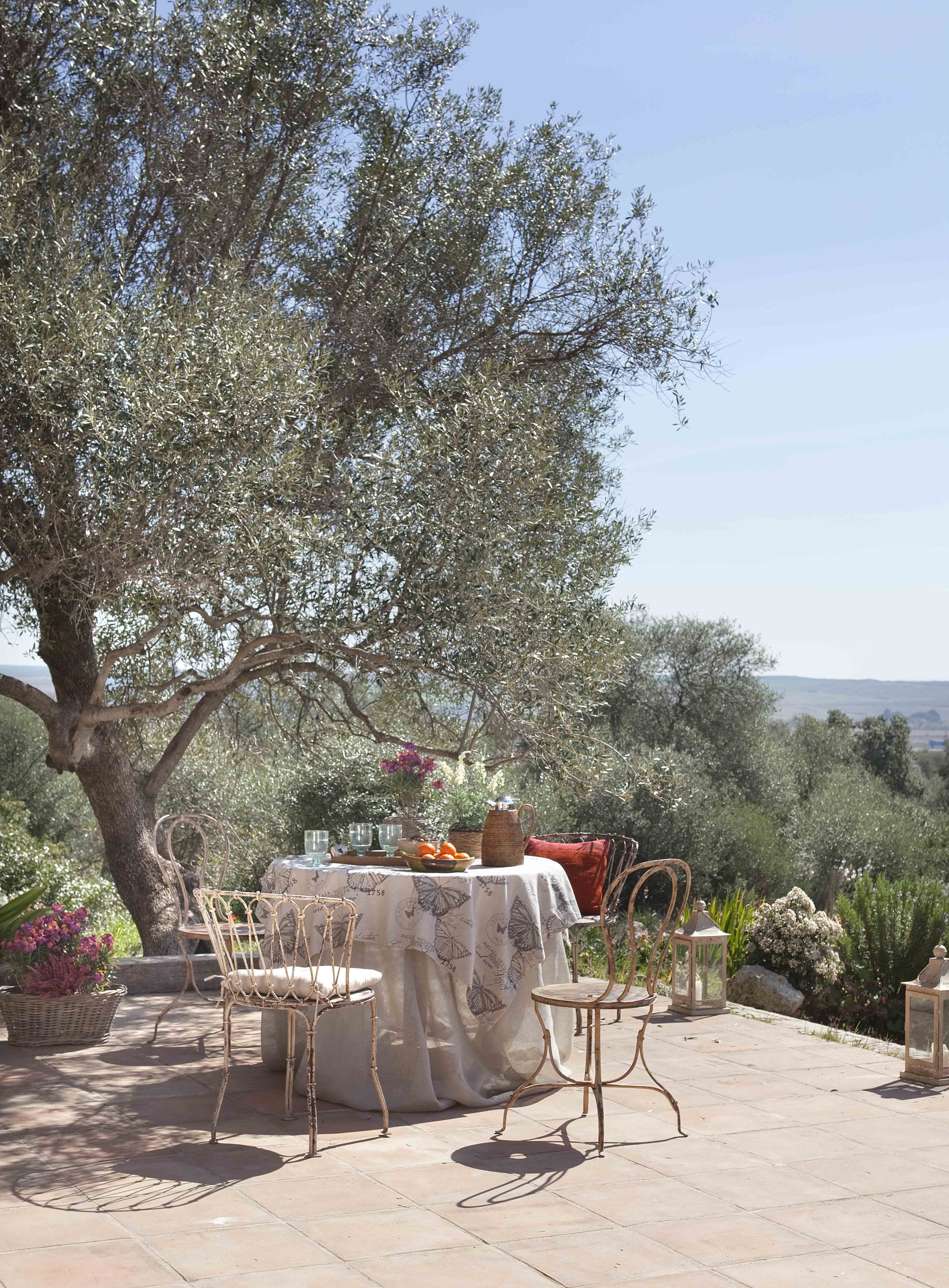 Mesa dispuesta para comer al aire libre bajo un gran olivo centenario con vistas panorámicas al campo y la sierra. Sillas y mesa de hierro forjado con mantel estampado. La escena captura el espíritu de la vida rural española con farol de vela y cestas de mimbre como elementos decorativos.
