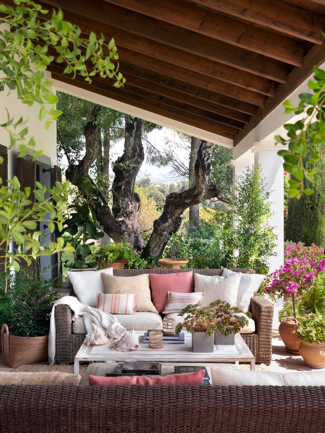 Zona de descanso exterior con sofá de rattan, cojines en rosa pálido y terracota, y una mesa de madera envejecida, cobijada bajo el frondoso follaje de un olivo centenario. La buganvilia en flor y los múltiples tiestos crean un ambiente de jardín mediterráneo íntimo y relajante.