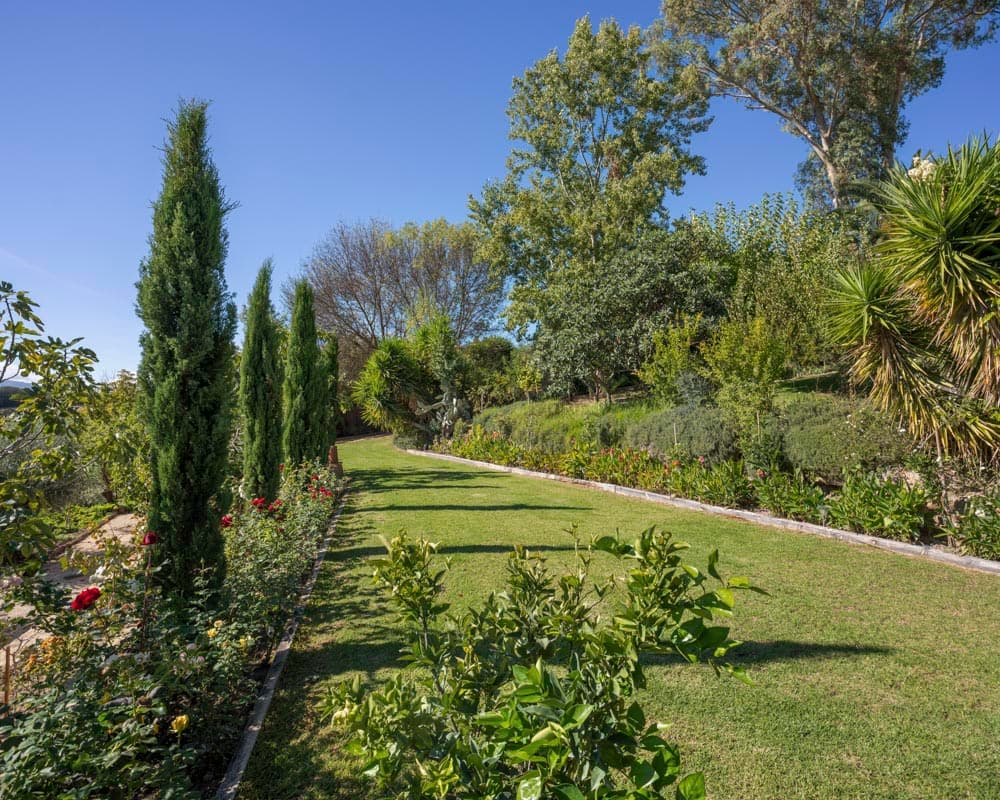 Jardín bien cuidado con un paseo de césped flanqueado por cipreses mediterráneos, rosales en flor y palmeras. El cielo azul despejado y la vegetación frondosa crean un entorno natural y sereno propio de una finca andaluza.