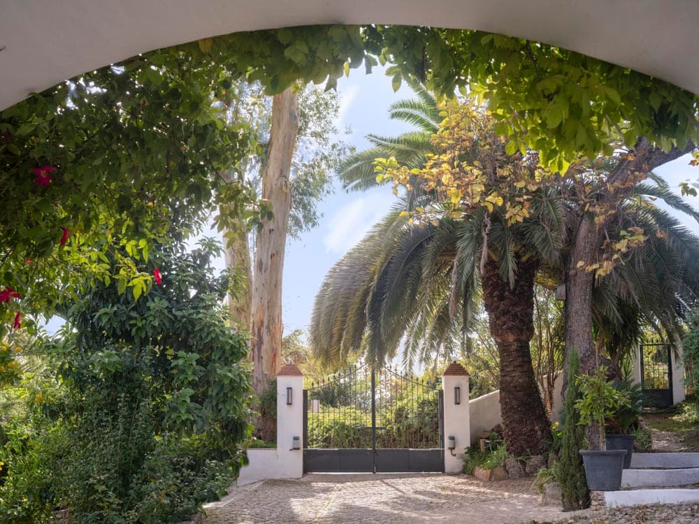 Vista de la entrada de la finca enmarcada por un arco de obra blanco, con una verja de hierro forjado y palmeras exuberantes al fondo. El camino de adoquines y la vegetación subtropical crean una bienvenida llena de carácter.