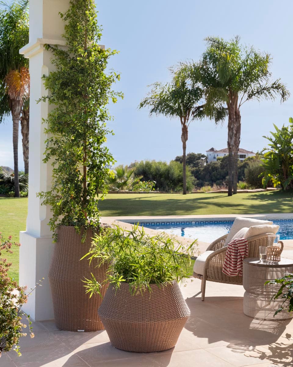 Rincón del porche exterior con grandes maceteros de mimbre con plantas exuberantes y columna blanca cubierta de vegetación. Al fondo, dos sillones de ratán junto a la piscina con vistas a palmeras y la sierra. Una imagen que capta el espíritu verde y lujoso de las propiedades en Benahavis.