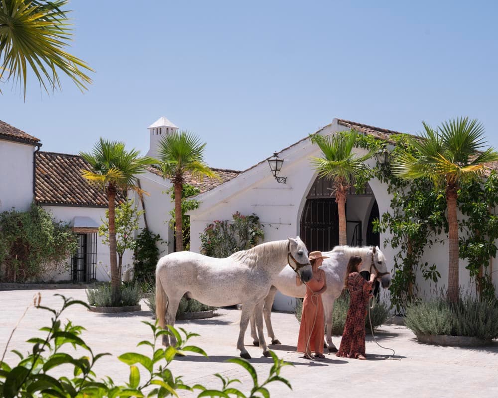 Dos mujeres guían dos caballos blancos frente a la entrada en arco de la cuadra, rodeada de palmeras, lavanda y vegetación trepadora. La construcción encalada con tejado de teja destaca bajo el cielo azul.