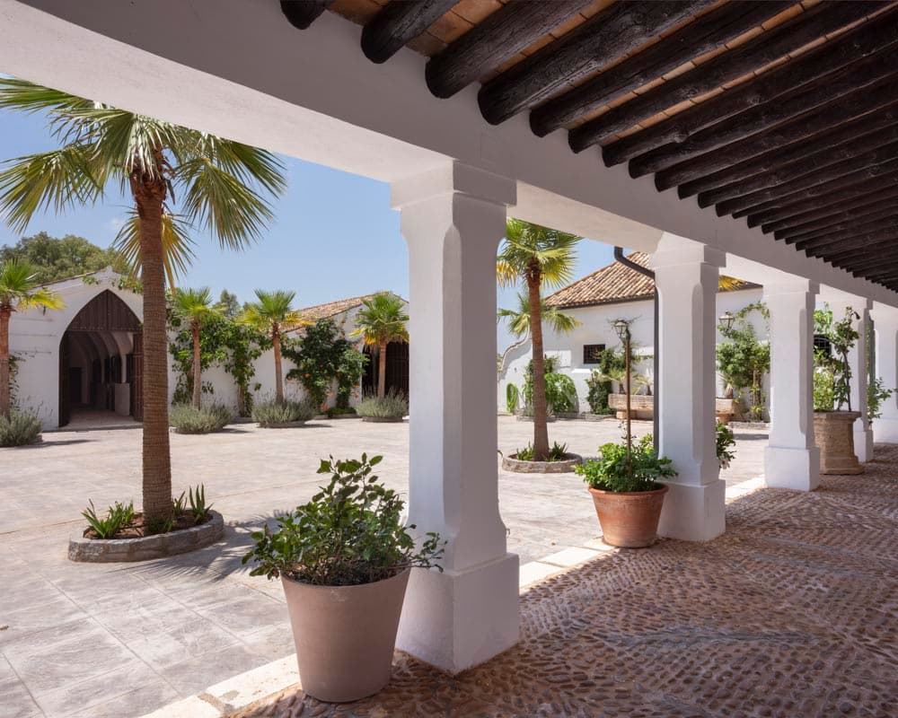 Porche con columnas blancas, vigas de madera oscura y suelo empedrado, que da a un patio con palmeras y macetas. A través de las columnas se ven la puerta gótica de la cuadra y distintos edificios blancos de la finca.